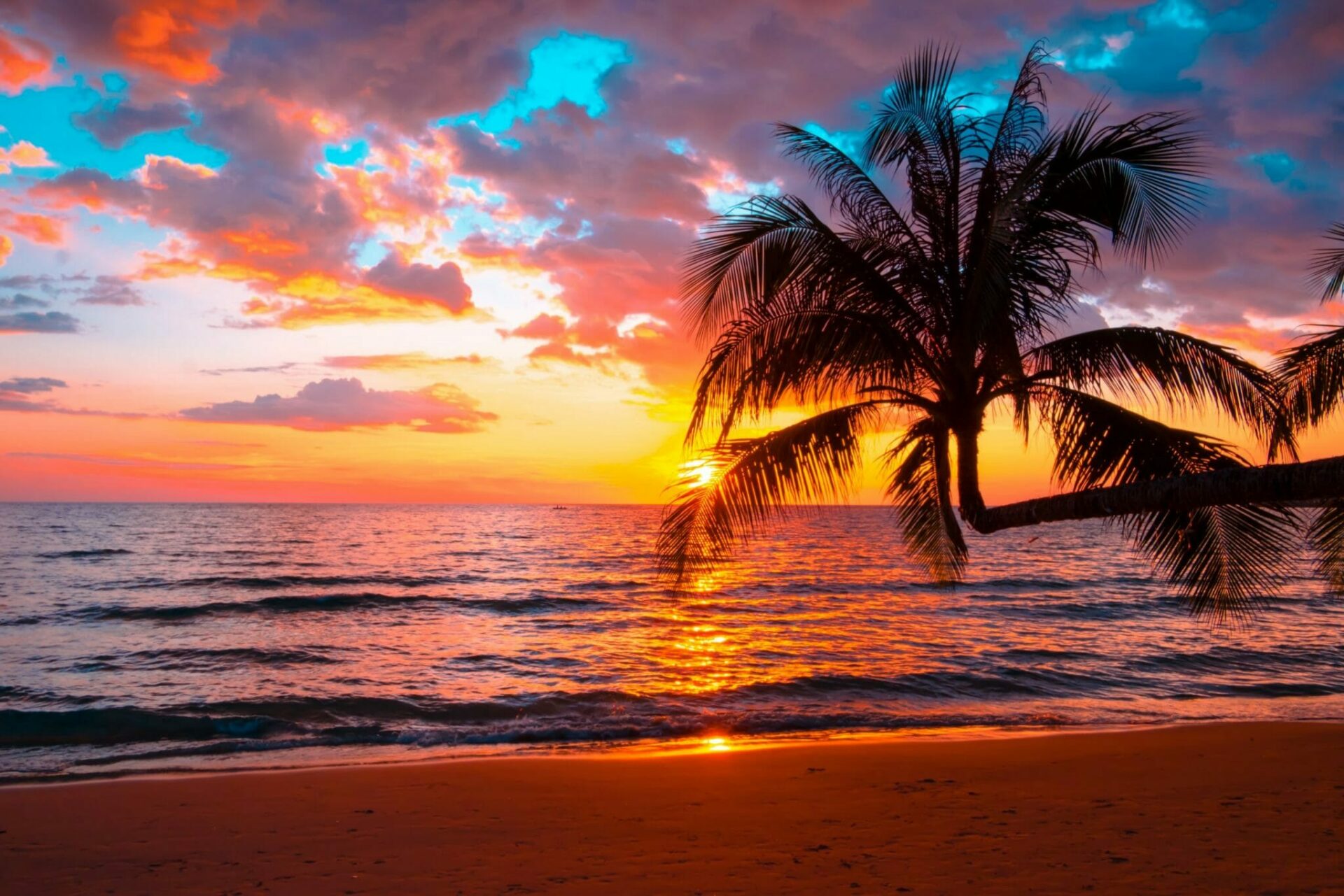 Sansibar Urlaub buchen bei REISEBÜRO Wache Erfurt; im Bild: Sonnenuntergang über dem Meer, Welle trifft auf Strand, im Vordergrund eine durchs Gegenlicht schwarz wirkende Palme