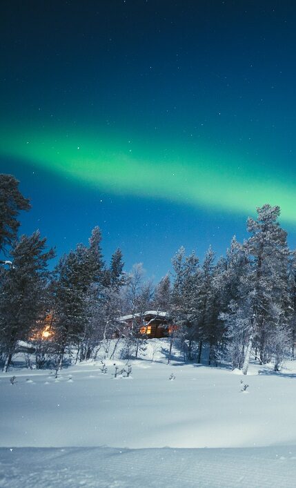 Finnland Urlaub Polarlichter sehen mit REISEBÜRO Wache, Erfurt; im Bild: grüne Polarlichter am Himmel über verschneiten Nadelbäumen und weißer Landschaft, 2 Hütten mit Licht im Hintergrund