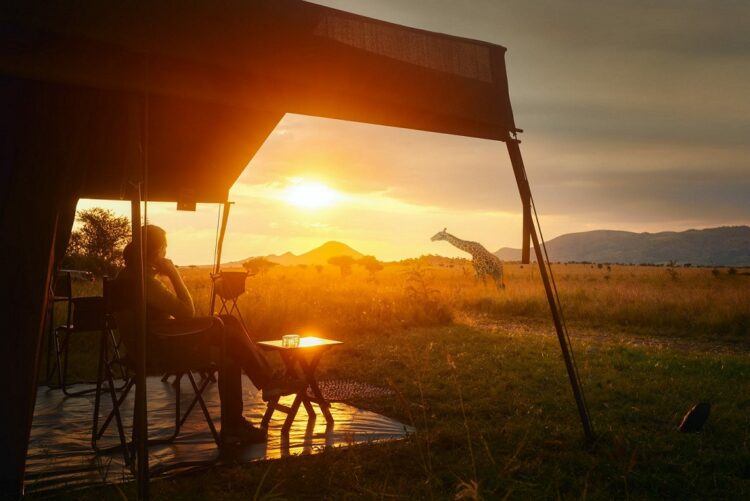 Safari in Afrika und den Serengeti Nationalpark vom Zelt aus erleben; im Bild: Frau sitzt vor ihrem großen Zelt und blickt auf eine Giraffe im Sonnenuntergang im Serengeti-Nationalpark.