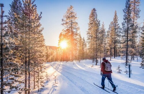 Finnland Urlaub ab Erfurt buchen beim REISEBÜRO Wache; im Bild: Mensch auf Skiern fährt durch einen verschneiten Wald der untergehenden Sonne entgegen