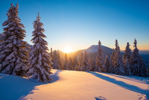 Winter Urlaub Finnland, buchbar beim REISEBÜRO Wache, Erfurt; im Bild: Sonnenuntergang über verschneiter Winterlandschaft, Schnee auf Kiefern, unberührter Schnee am Boden